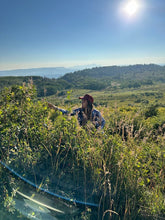 Load image into Gallery viewer, Wild Rosehip Oil (essential oil free)