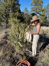 Load image into Gallery viewer, Cliffrose Beauty Balm (Essential Oil Free)