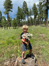 Load image into Gallery viewer, Yarrow Herbal Body Oil