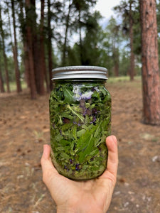 Blue Vervain