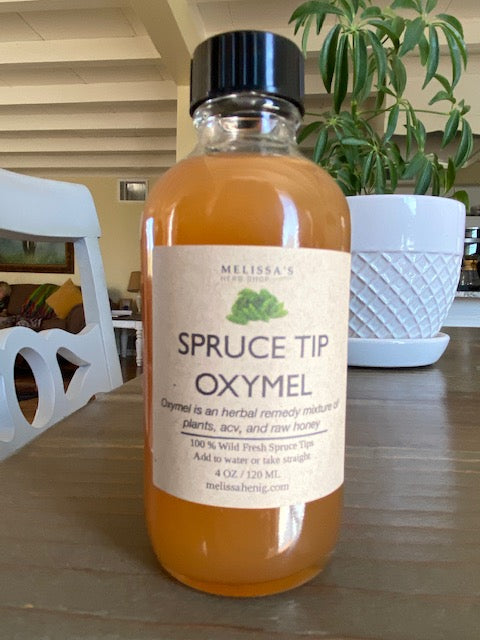 Spruce Tip Oxymel