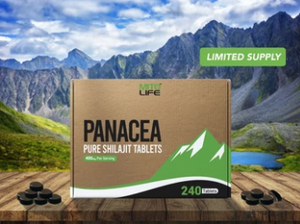 Panacea Shilajit Tablets